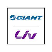 Zur Website von Giant Liv